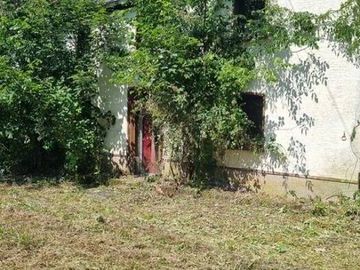 Grundstück zum Kauf 130.000 € 2.500 m² Grundstück Büschfeld Wadern 66687