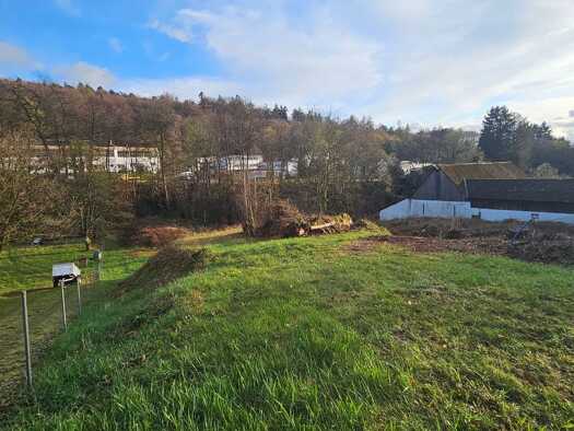 Grundstück zum Kauf provisionsfrei 933.000 € 2.333 m² Grundstück frei ab sofort Sailauf Sailauf 63877