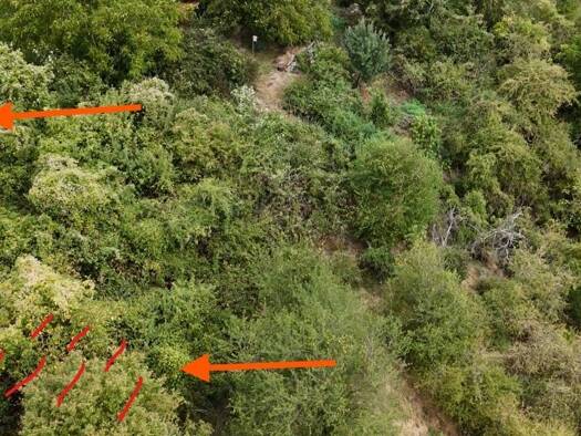 Land-/Forstwirtschaft zum Kauf provisionsfrei 2.900 € 450 m² Grundstück Oberlahnstein Lahnstein 56112