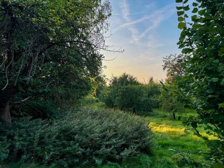 Land-/Forstwirtschaft zum Kauf 38.000 € 3.251 m² Grundstück Oppach 02736