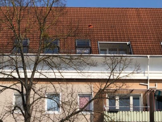 Studio zum Kauf 95.000 € 2 Zimmer 57,6 m² 5. Geschoss Vogelviertel Neubrandenburg 17034