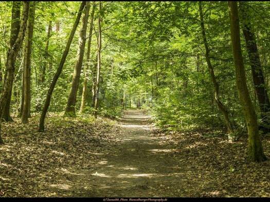 Wohnung zum Kauf provisionsfrei 259.000 € 2 Zimmer 54,3 m² 1. Geschoss Reinickendorf Berlin 13403