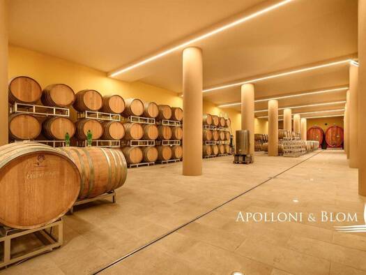 Büro zum Kauf 15.000.000 € Montepulciano 53045