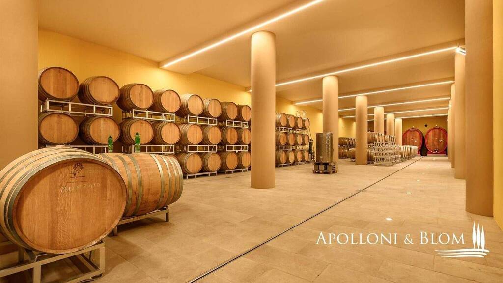 Büro zum Kauf 15.000.000 € Montepulciano 53045