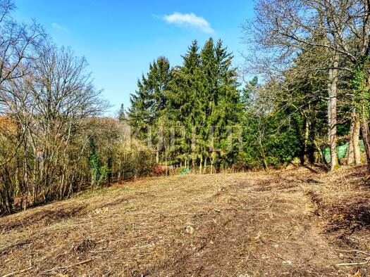 Grundstück zum Kauf 750.000 € 1.581 m² Grundstück frei ab sofort Forchheim 91301