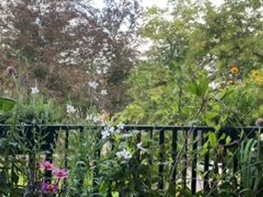 Wohnung zur Miete 900 € 2 Zimmer 57 m² Geschoss 2/3 Probstheida Leipzig 04289