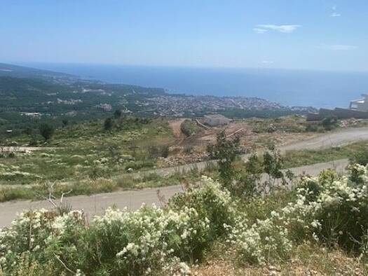 Grundstück zum Kauf 99.000 € 2.606 m² Grundstück Baugenehmigung vorhanden Pecurice Bar 8500