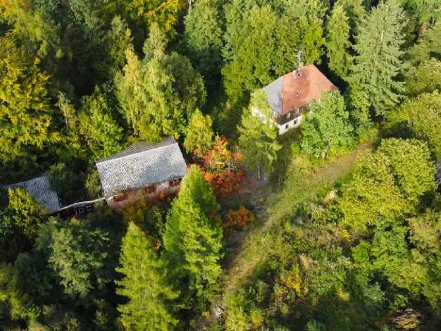 Mehrfamilienhaus zum Kauf 485.000 € 31 Zimmer 530 m² 100.658 m² Grundstück Putzkau Schmölln-Putzkau 01844