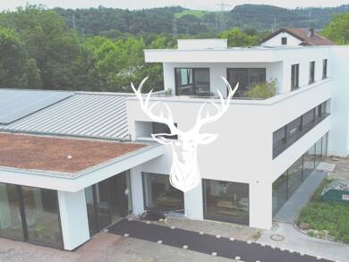 Büro-/Praxisfläche zur Miete 1.316 € 3 Zimmer 94 m² Bürofläche Tiengen Waldshut-Tiengen 79761