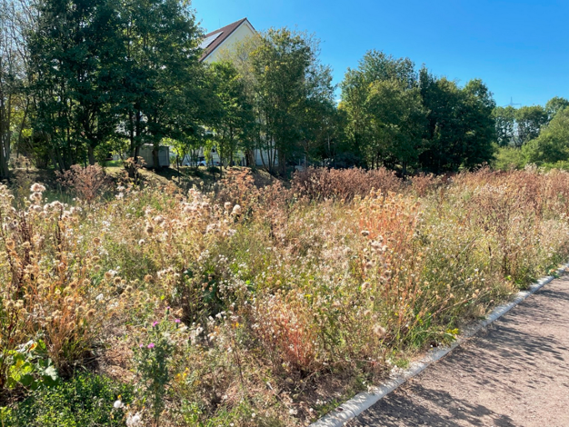 Grundstück zum Kauf 106.890 € 509 m² Grundstück Magdala Magdala 99441
