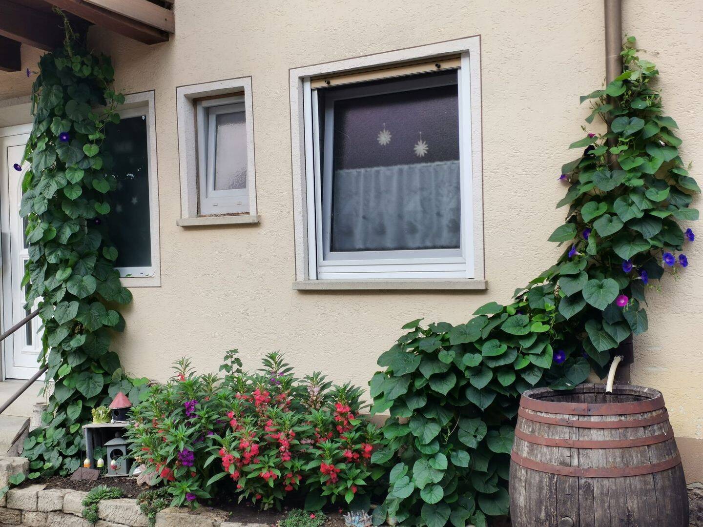Bauernhaus zum Kauf - Mehr