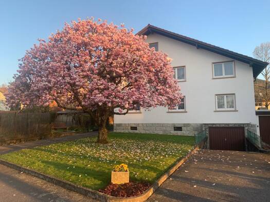 Einfamilienhaus zum Kauf 385.000 € 9 Zimmer 199 m² 889 m² Grundstück Altschweier Bühl 77815