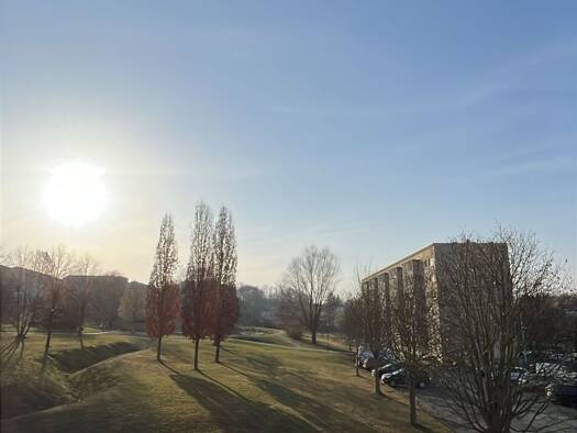 Wohnung zur Miete 300 € 1 Zimmer 41 m² Geschoss 1/5 frei ab sofort Chrieschwitz Plauen 08529