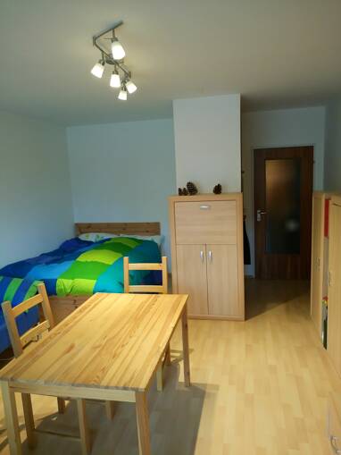 Wohnung zum Kauf 250.000 € 1 Zimmer 40 m² frei ab 01.08.2025 Sieglitzhof Erlangen 91054