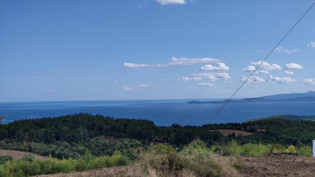 Land-/Forstwirtschaft zum Kauf 1.400.000 € 50.000 m² Grundstück Chalkidiki