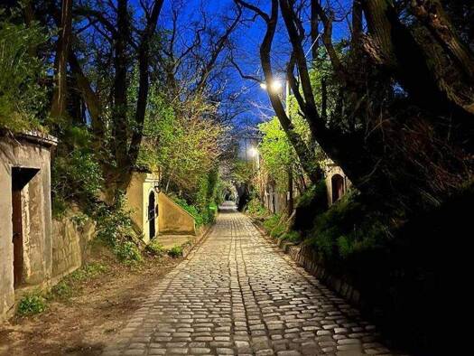 Weingut zum Kauf 89.000 € 39 m² Grundstück Wien 1210