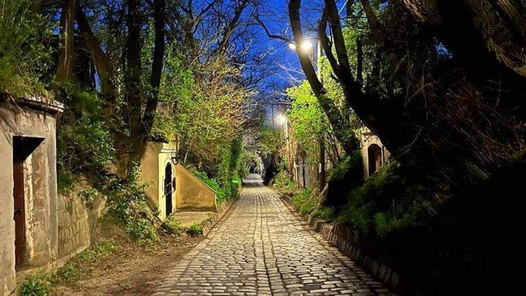 Weingut zum Kauf 89.000 € 39 m² Grundstück Wien 1210