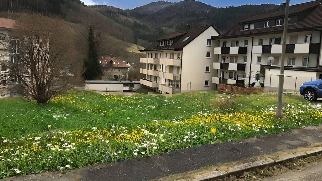 Grundstück zum Kauf provisionsfrei 310.000 € 1.077 m² Grundstück Zell 79669