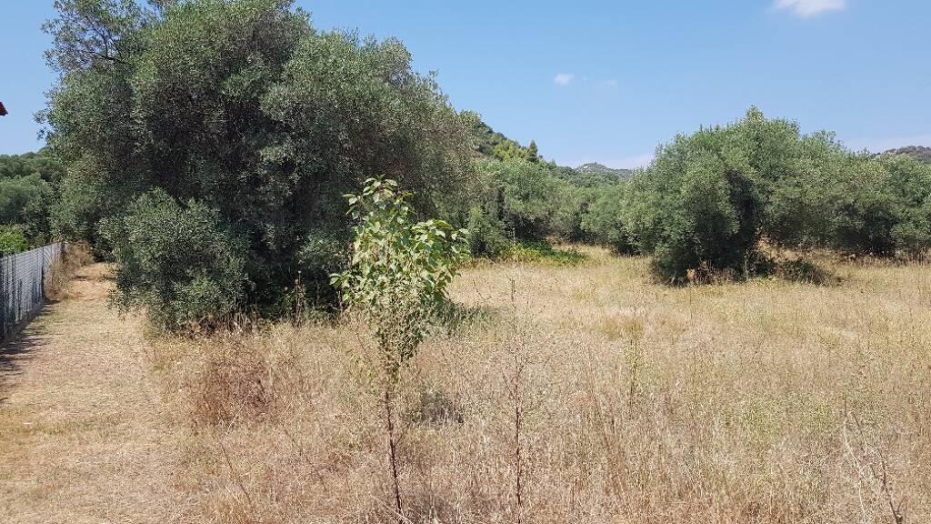 Land-/Forstwirtschaft zum Kauf 1.700.000 € 20.000 m² Grundstück Chalkidiki