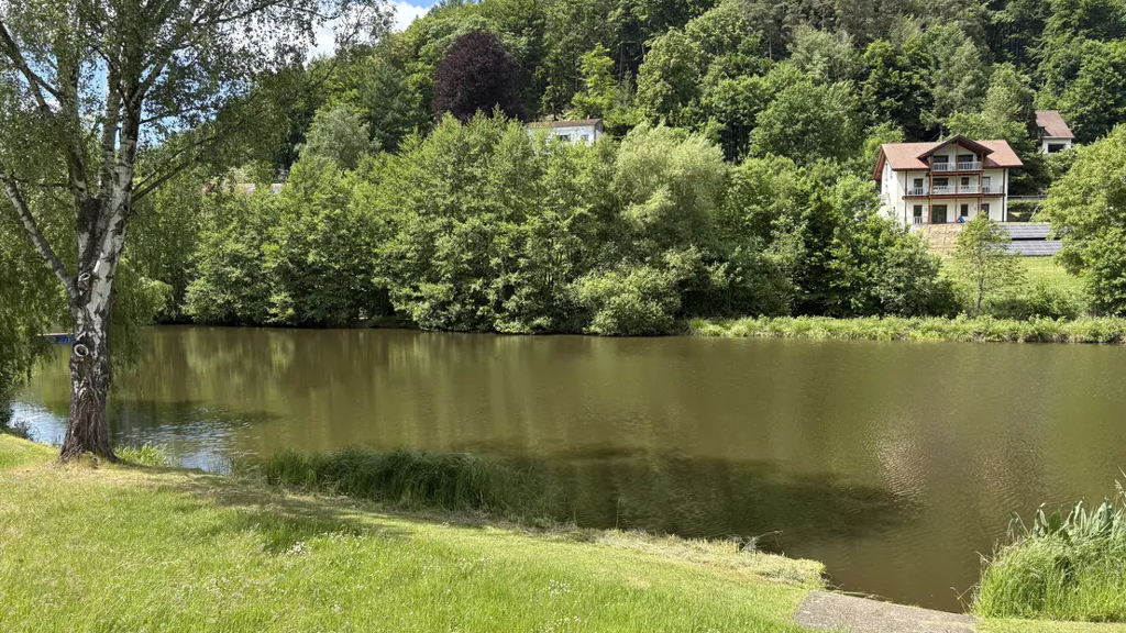 Grundstück zum Kauf 215.000 € 3.090 m² Grundstück Schönau Schönau (Pfalz) 66996