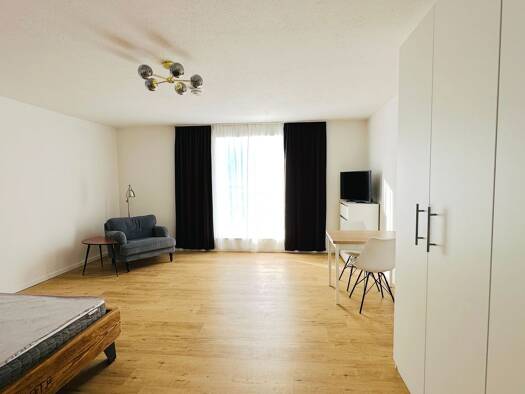 Wohnung zur Miete 1.350 € 1 Zimmer 37 m² Geschoss 5/6 frei ab sofort Au-Haidhausen München 81541