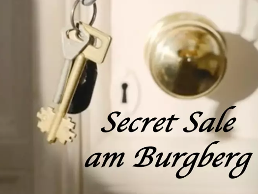 Villa zum Kauf provisionsfrei 2.550.000 € 5,5 Zimmer 250 m² 1.800 m² Grundstück Burgberg Erlangen 91054