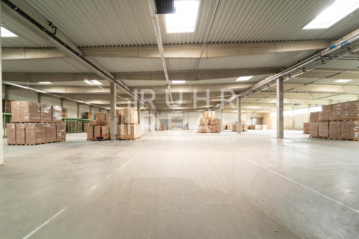 Lagerhalle zur Miete 4.900 m²<br/>Lagerfläche ab 4.900 m²<br/>Teilbarkeit Brauweiler Pulheim 50259