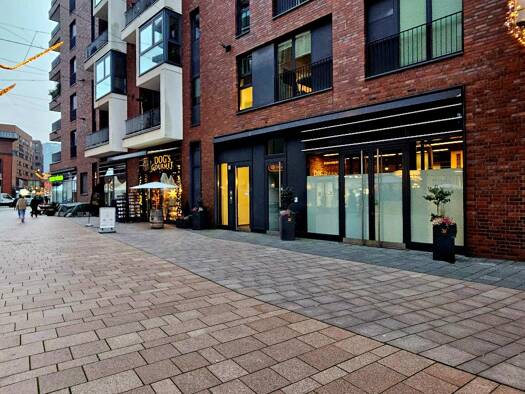 Laden zur Miete provisionsfrei 3.640 € 91 m² Verkaufsfläche HafenCity Hamburg 20457