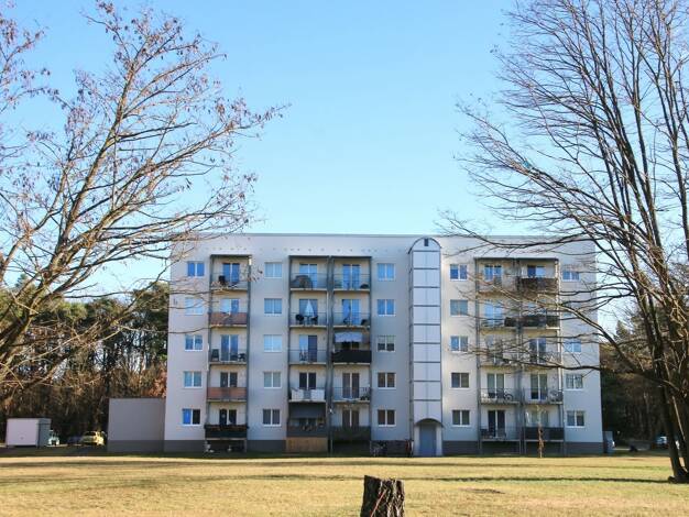 Studio zur Miete 365 € 1 Zimmer 33,7 m² 2. Geschoss Waldesruh 1 Wünsdorf Zossen 15806