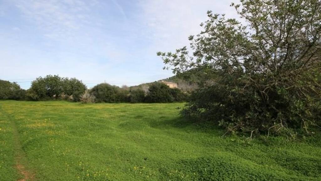 Haus zum Kauf 315.000 € 3 Zimmer 23.317 m² Grundstück Felanitx