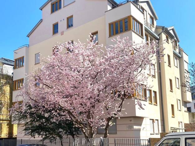 Wohnung zum Kauf 139.000 € 2 Zimmer 53,5 m² 3. Geschoss Emil-Ueberall-Straße 17 Löbtau-Nord Ortsamtsbereich Cotta 01159