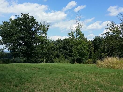 Grundstück zum Kauf 95.000 € 3.800 m² Grundstück Wilfersdorf 3434