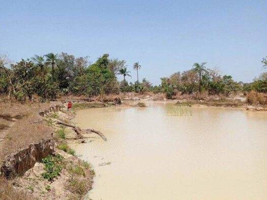 Grundstück zum Kauf 140.000 € 20.000 m² Grundstück Brikama/ Marakissa 0000