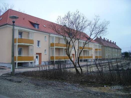 Wohnung zur Miete 300 € 2 Zimmer 50 m² frei ab sofort Karl-Liebknecht-Straße 64 Lauta Lauta 02991