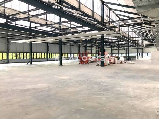 Halle/Industriefläche zur Miete provisionsfrei 3.000 m² Lagerfläche teilbar ab 3.000 m² Eching 85386