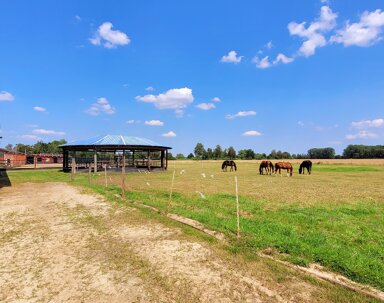 Reiterhof zum Kauf 1.760.000 € 180 m² 5.000 m² Grundstück Soest Soest 59494