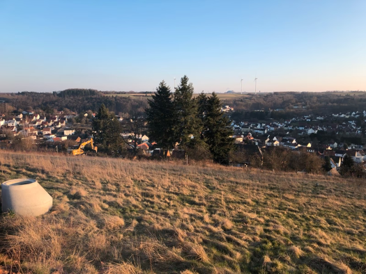 Grundstück zum Kauf 801 m² Grundstück Thaleischweiler-Fröschen 66987