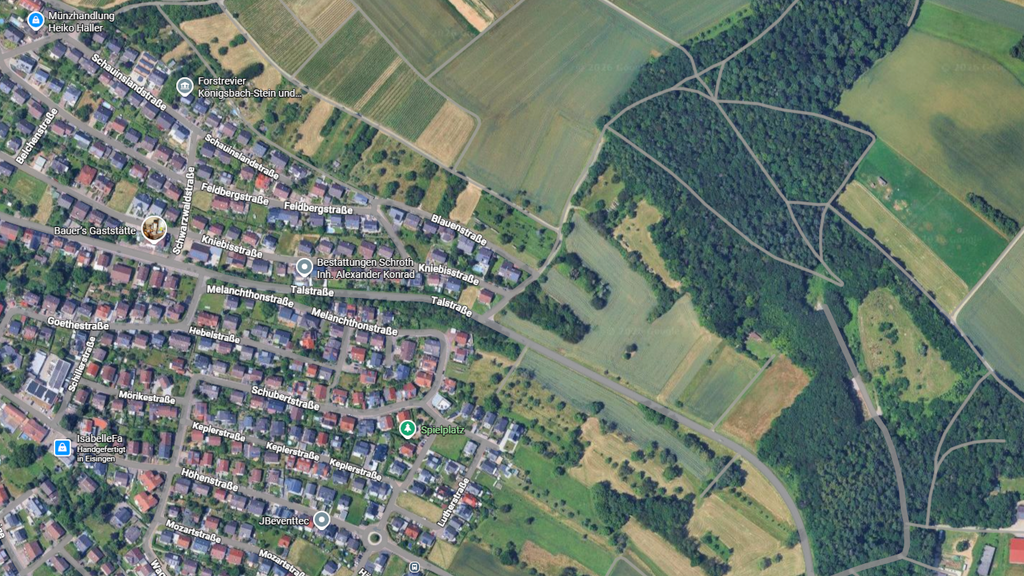 Land-/Forstwirtschaft zum Kauf provisionsfrei 6.800 € 824 m² Grundstück Eisingen 75239