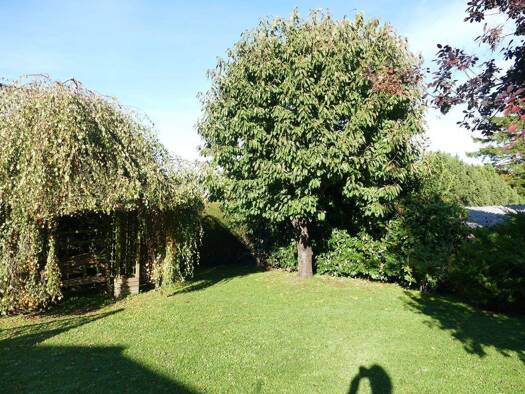 Bungalow zum Kauf 350.000 € 5 Zimmer 131,7 m² 759 m² Grundstück Elmenhorst Elmenhorst/Lichtenhagen 18107