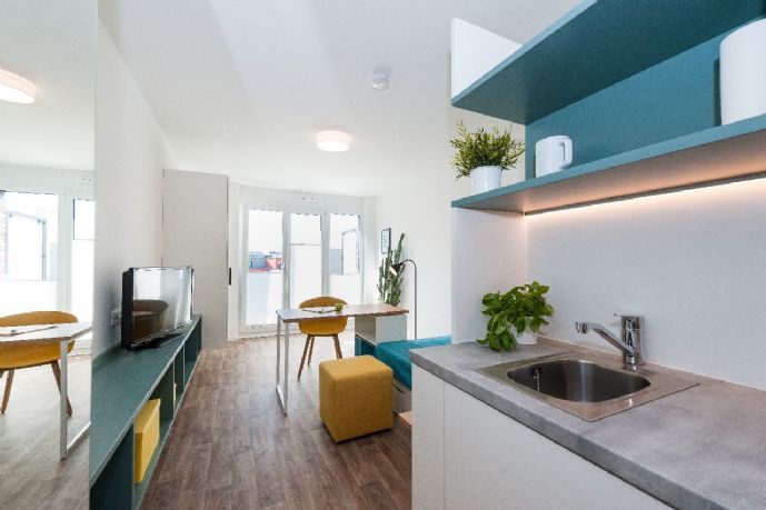 Wohnung zur Miete 550 € 1 Zimmer 35 m²<br/>Wohnfläche ab sofort<br/>Verfügbarkeit Allemannenstraße 2c Friedingen 84 Singen (Hohentwiel) 78224