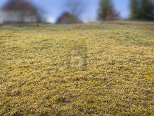 Grundstück zum Kauf 75.000 € 550 m² Grundstück Huzenbach Baiersbronn 72270