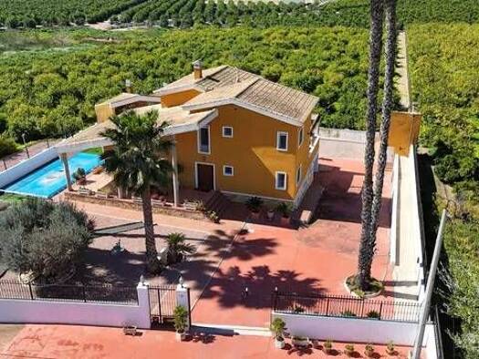 Chalet zum Kauf 675.000 € 5 Zimmer 495 m² Camino Fabregat Orihuela 03313