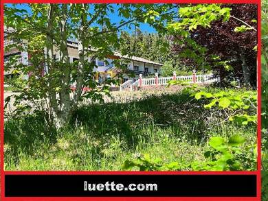 Gastronomie/Hotel zum Kauf 1.000.000 € 2.700 m² Grundstück Höchenschwand Höchenschwand 79862