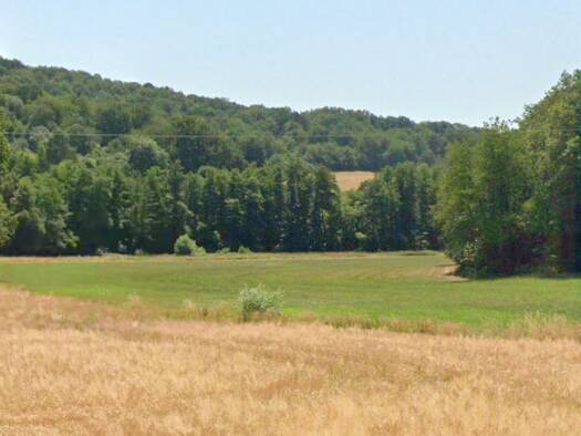 Land-/Forstwirtschaft zum Kauf 800 € 3.635 m² Grundstück Nohfeldener Straße Pinsweiler Namborn 66640