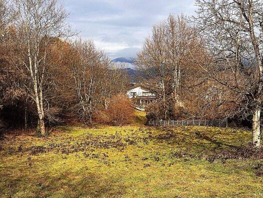 Grundstück zum Kauf 639.000 € 1.430 m² Grundstück Schopfheim 79650