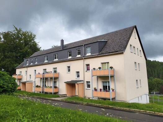 Wohnung zur Miete 255 € 2 Zimmer 41,4 m² 2. Geschoss frei ab sofort Am Waldblick 1 Erlabrunn Breitenbrunn/Erzgebirge 08359