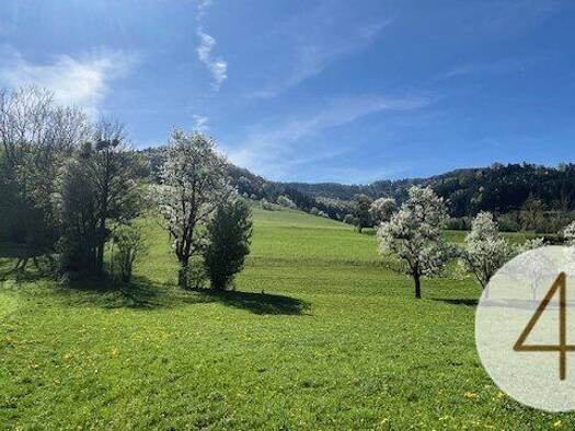 Grundstück zum Kauf 51.800 € 1.044 m² Grundstück St. Leonhard am Wald Waidhofen an der Ybbs 3263