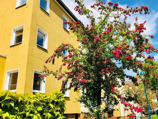 Atelier zur Miete provisionsfrei 450 € 60,1 m² Bürofläche Kölner Str. 10 Hansaviertel West 18057
