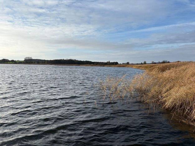 Grundstück zum Kauf 1.936 m² Grundstück Sellin 18586