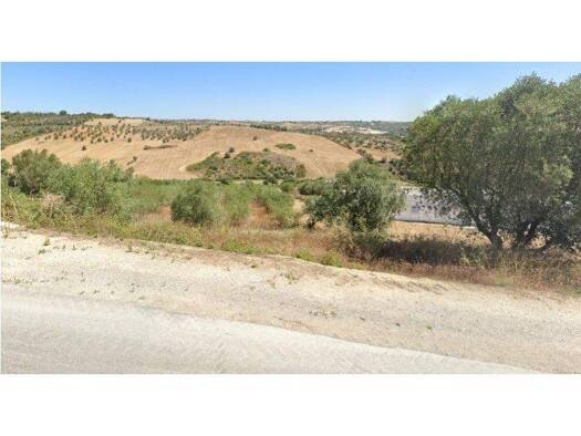 Grundstück zum Kauf 17.500 € 7.120 m² Grundstück Rio Maior